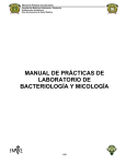 MP Bacteriología y Micología - FMVZ