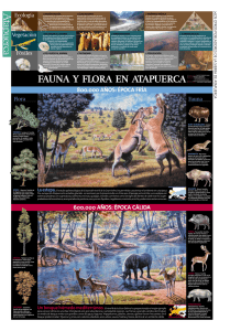 fauna y flora de Atapuerca