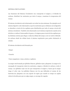 pdf sistema circulatorio