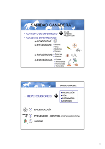 SANIDAD GANADERA