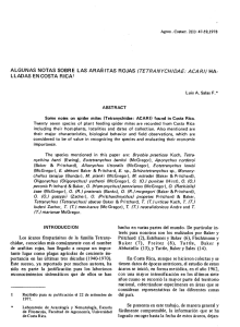 TETRANYCHIDAE: ACARI