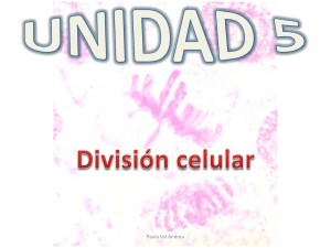 Unidad 5: División celular
