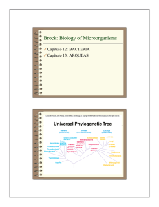 Brock: Biology of Microorganisms
