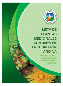 lista de plantas medicinales comunes en la subregión - Oras