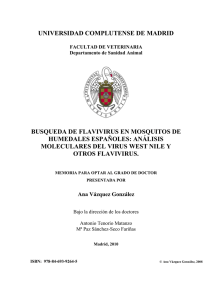 Búsqueda de flavivirus en mosquitos de humedales españoles