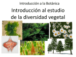 Biodiversidad de Vegetales