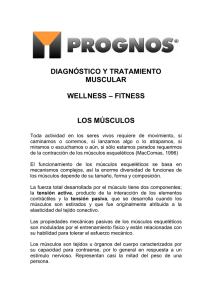 diagnóstico y tratamiento muscular wellness – fitness los músculos