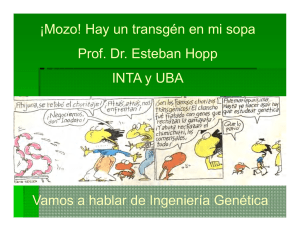Vamos a hablar de Ingeniería Genética ¡Mozo! Hay un transgén en