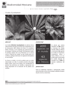 Imprimir - Biodiversidad Mexicana