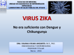 VIRUS ZIKA