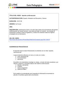 TÍTULO DEL VIDEO: Aparato cardiovascular AUTOR
