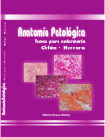 Cirion Herrera - Anatomia Patologica