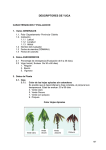 descriptores de yuca - Crop Genebank Knowledge Base