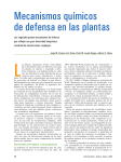 Mecanismos químicos de defensa en las plantas