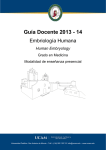 Guía Docente 2013 - 14
