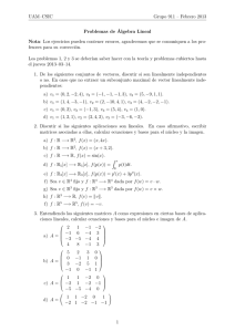 UAM–CSIC Grupo 911 – Febrero 2013 Problemas de Álgebra