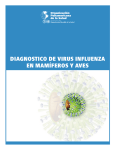 diagnostico de virus influenza en mamíferos y aves