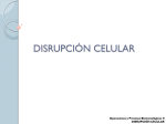 disrupción celular