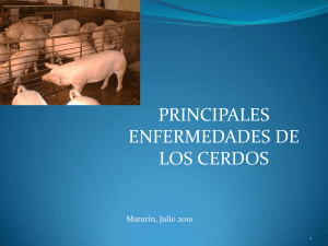 Programas Sanitarios de Cerdos
