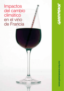 Impactos del cambio climático en el vino de Francia