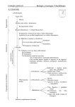 Ficha desarrollo embrionario y postembrionario