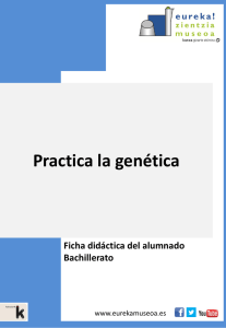 Practica la genética - Eureka! Zientzia Museoa