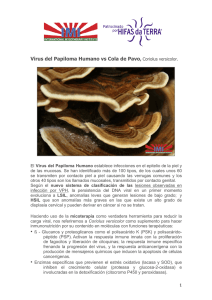 Virus del Papiloma Humano vs Cola de Pavo, Coriolus versicolor.