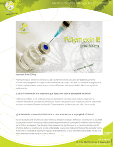 polymyxin B vial 500mg Polymyxin B es un antibiótico. Éste se usa