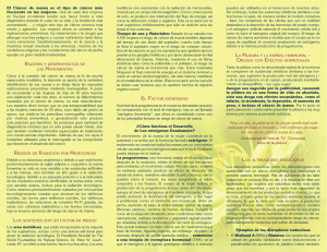 El C&aacute;ncer de mama es el tipo de c&aacute;ncer m&aacute;s frecuente en las