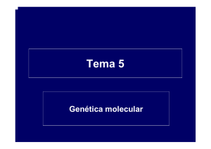 Diapositiva 1 - Mi Portal