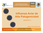 Atención prestada a la contingencia de la influenza aviar H7N3
