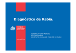 Diagnóstico de Rabia. - Instituto de Salud Pública de Chile