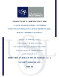 maestria en direccion de marketing y gestión comercial 2014