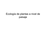 Ecología del paisaje