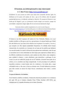 El kratom, un árbol psicoactivo muy interesante