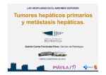 Tumores hepáticos primarios y metástasis hepáticas.