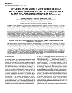 ESTUDIOS ANATOMICOS Y MORFOLOGICOS DE LA INICIACION