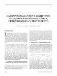 carbapenemasa nueva delhi tipo 1 (ndm): descripción fenotípica