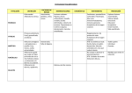 Tegumentario - Enfermeria21