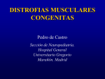 distrofias musculares congenitas