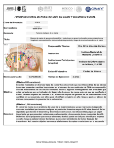 fondo sectorial de investigación en salud y seguridad social