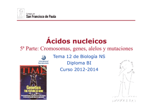 GTP_T11.Ácidos nucleicos \(5ªParte.Cromosomas, genes y alelos