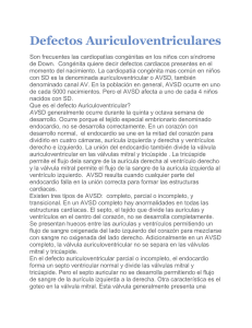 Defectos Auriculoventriculares - Down Syndrome Association of