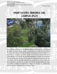 Catálogo de la vegetación arbórea del campus de la Universidad