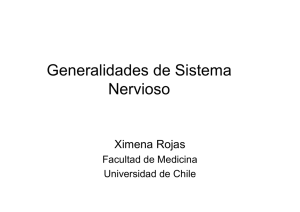 Generalidades nervioso PCII 2008 - U
