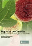 Higueras - Instituto Canario de Investigaciones Agrarias