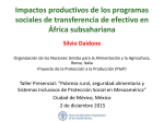 Impactos productivos de los programas sociales de transferencia de