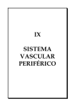 ix sistema vascular periférico