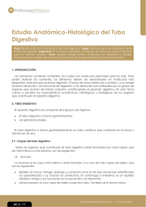 Estudio Anatómico-Histológico del Tubo Digestivo
