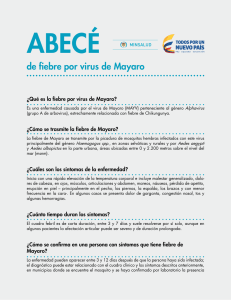 de fiebre por virus de Mayaro
